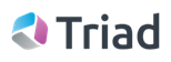 Triad Group Plc